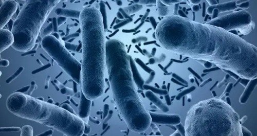 25 Interesting Facts About Diseases